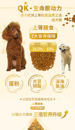 宠物食品